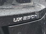 2019 UX 250h Thumbnail 3