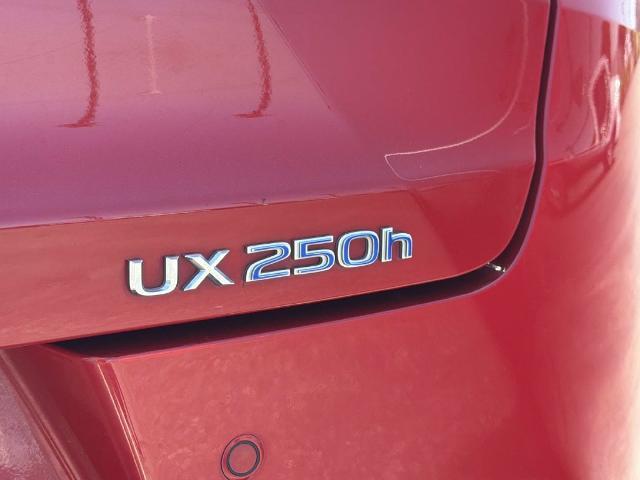 2021 Lexus UX - $23,885