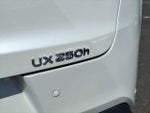 2021 UX 250h Thumbnail 9