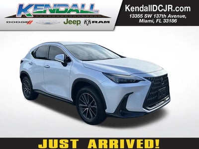 2025 Lexus NX 250 4DR Crossover
