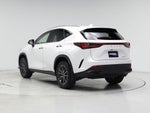 2025 NX 250 Thumbnail 2