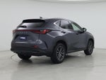2023 NX 250 Thumbnail 8
