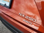 2022 NX 250 Thumbnail 14