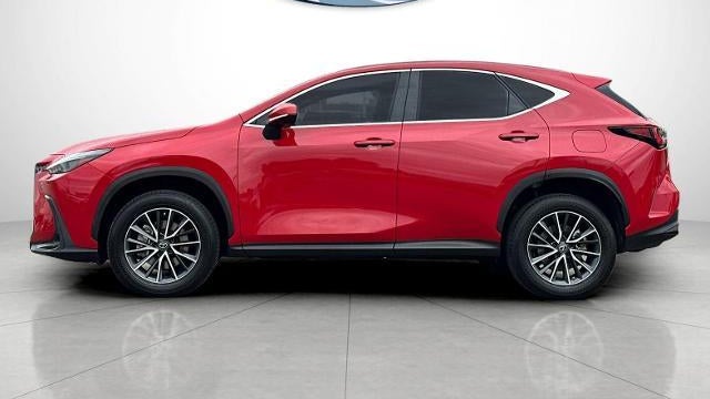 2023 Lexus NX 350 Base