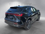 2024 NX 350 Thumbnail 14