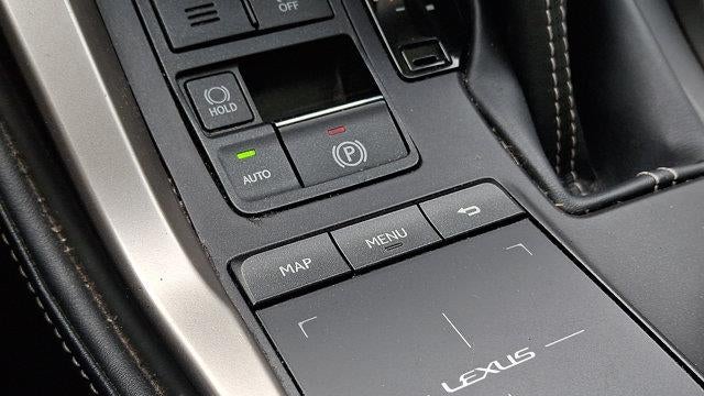 2019 Lexus NX 300 F SPORT