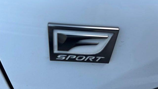 2019 Lexus NX 300 F SPORT