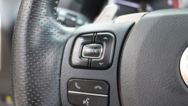 2019 Lexus NX 300 F SPORT