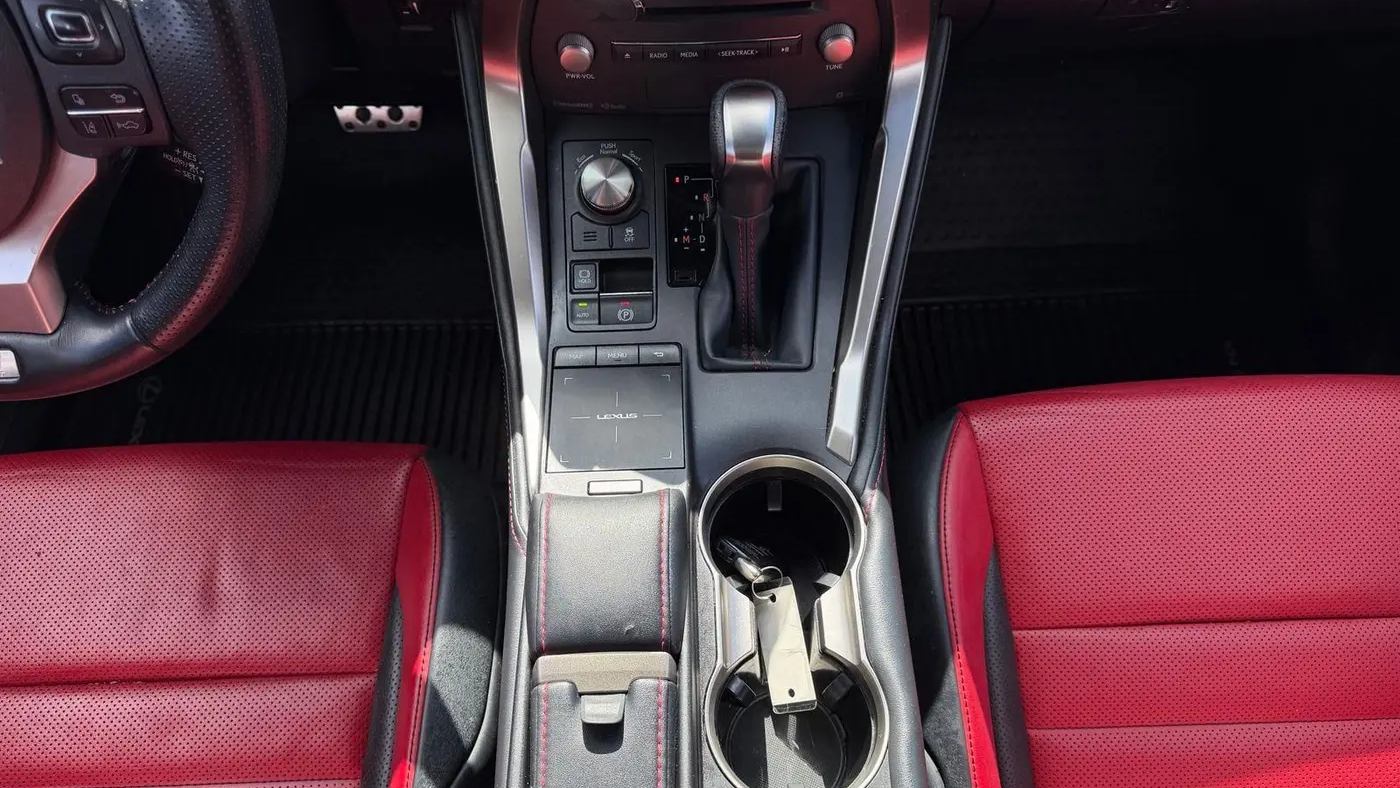 2019 Lexus NX 300 F SPORT
