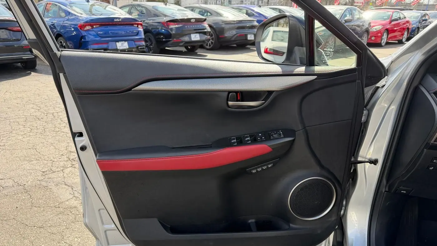 2019 Lexus NX 300 F SPORT