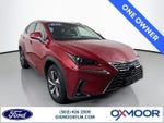 2019 NX 300h Thumbnail 1