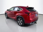 2019 NX 300h Thumbnail 9