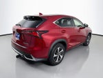 2019 NX 300h Thumbnail 11