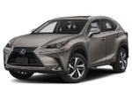 2019 NX 300h Thumbnail 1