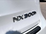 2017 NX 300h Thumbnail 10