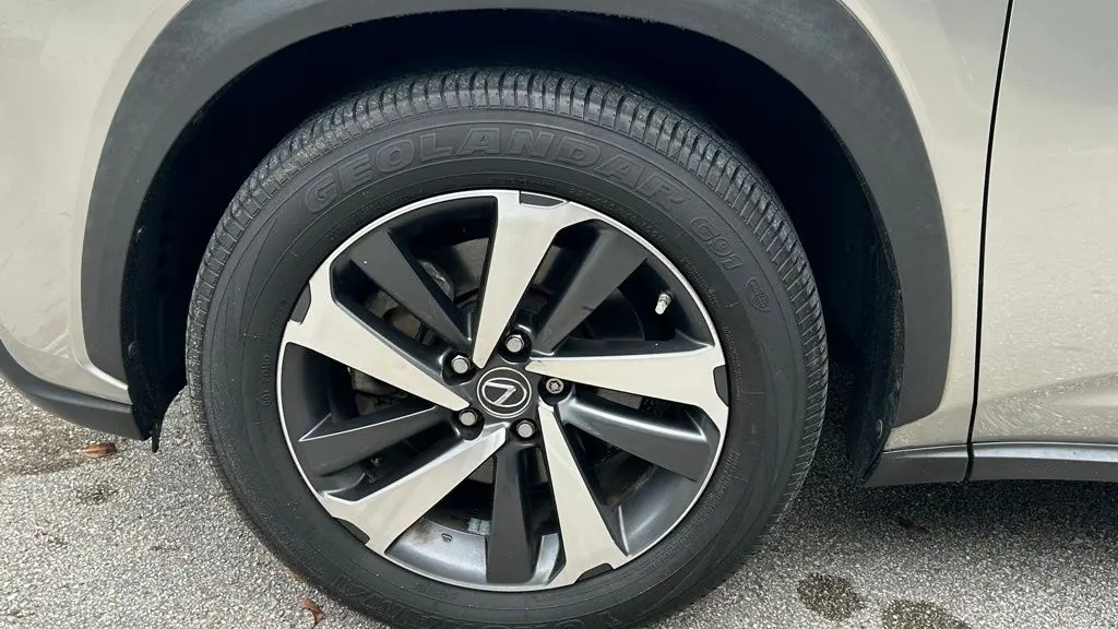 2019 Lexus NX 300h Base