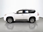 2019 GX 460 Thumbnail 8