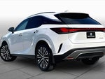 2025 RX 350 Thumbnail 11