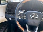2025 RX 350 Thumbnail 25
