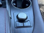 2019 RX 350L Thumbnail 25