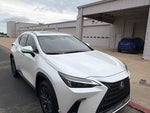 2025 NX 250 Thumbnail 2