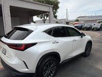 2025 NX 250 Thumbnail 3