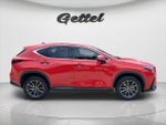 2022 NX 350 Thumbnail 4