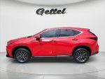 2022 NX 350 Thumbnail 8