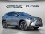 2024 NX 350 Thumbnail 1