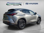 2024 NX 350 Thumbnail 8