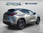 2024 NX 350 Thumbnail 8