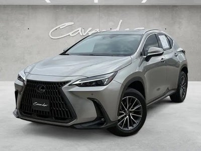 Photo of a 2024 Lexus NX 350 AWD Premium 4DR Crossover for sale