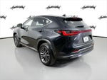 2024 NX 350 Thumbnail 7