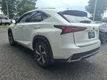 2020 NX 300h Thumbnail 4
