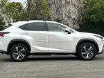 2021 NX 300h Thumbnail 2