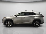 2020 NX 300h Thumbnail 3