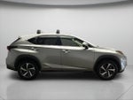 2020 NX 300h Thumbnail 8