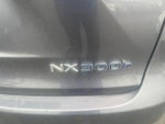 2020 NX 300h Thumbnail 5