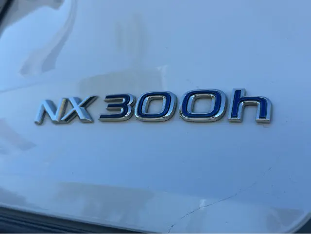 2020 Lexus NX - $30,000