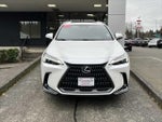 2024 NX 350h Thumbnail 2