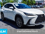 2024 NX 350h Thumbnail 4