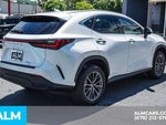 2024 NX 350h Thumbnail 6