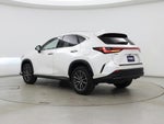 2025 NX 350h Thumbnail 2