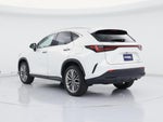 2022 NX 350h Thumbnail 2