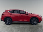 2024 NX 350h Thumbnail 6