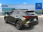 2025 NX 350h Thumbnail 7