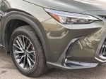 2025 NX 350h Thumbnail 12