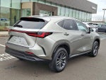 2022 NX 350h Thumbnail 5