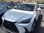 2022 NX 350h Thumbnail 1