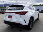 2024 NX 350 Thumbnail 7